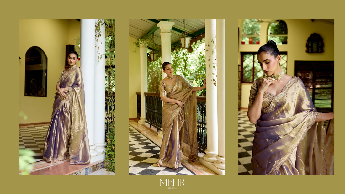 Tissue embroidered saree with zari threadwork and fabric care essentials