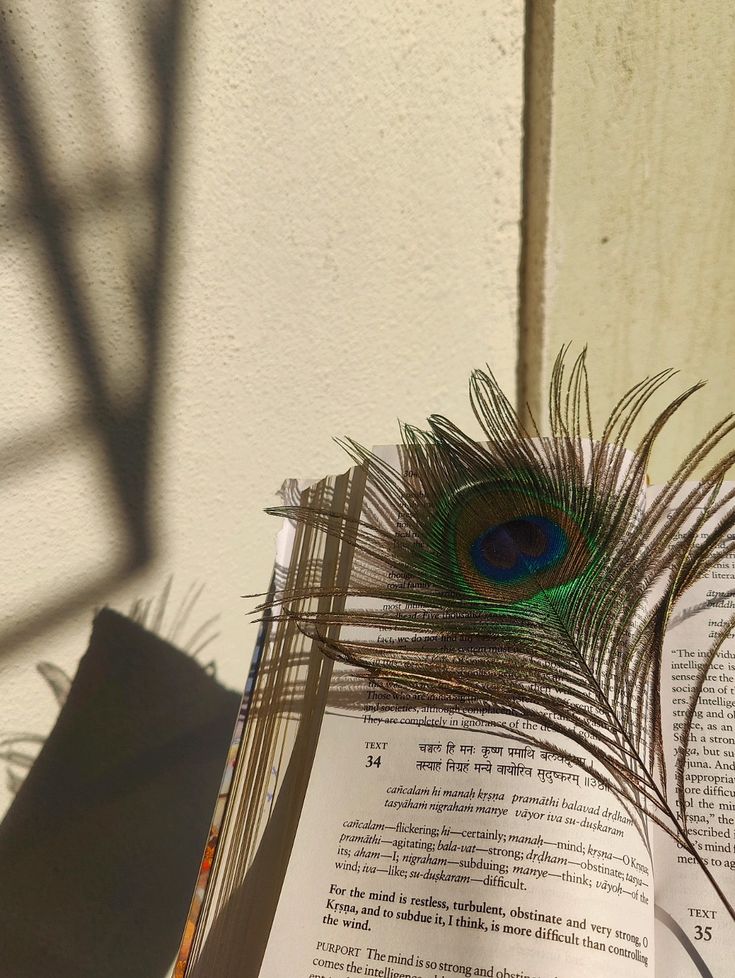 Bhagavad Gita with a peacock feather