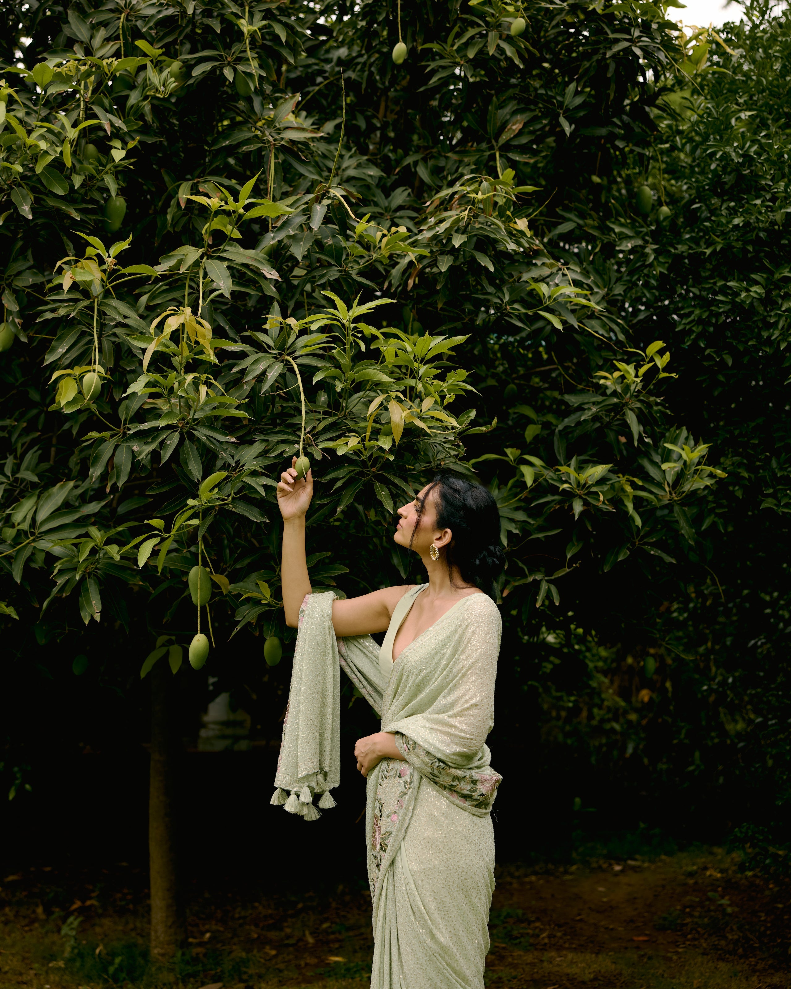 Green Georgette Sequins and Threadwork Saree
