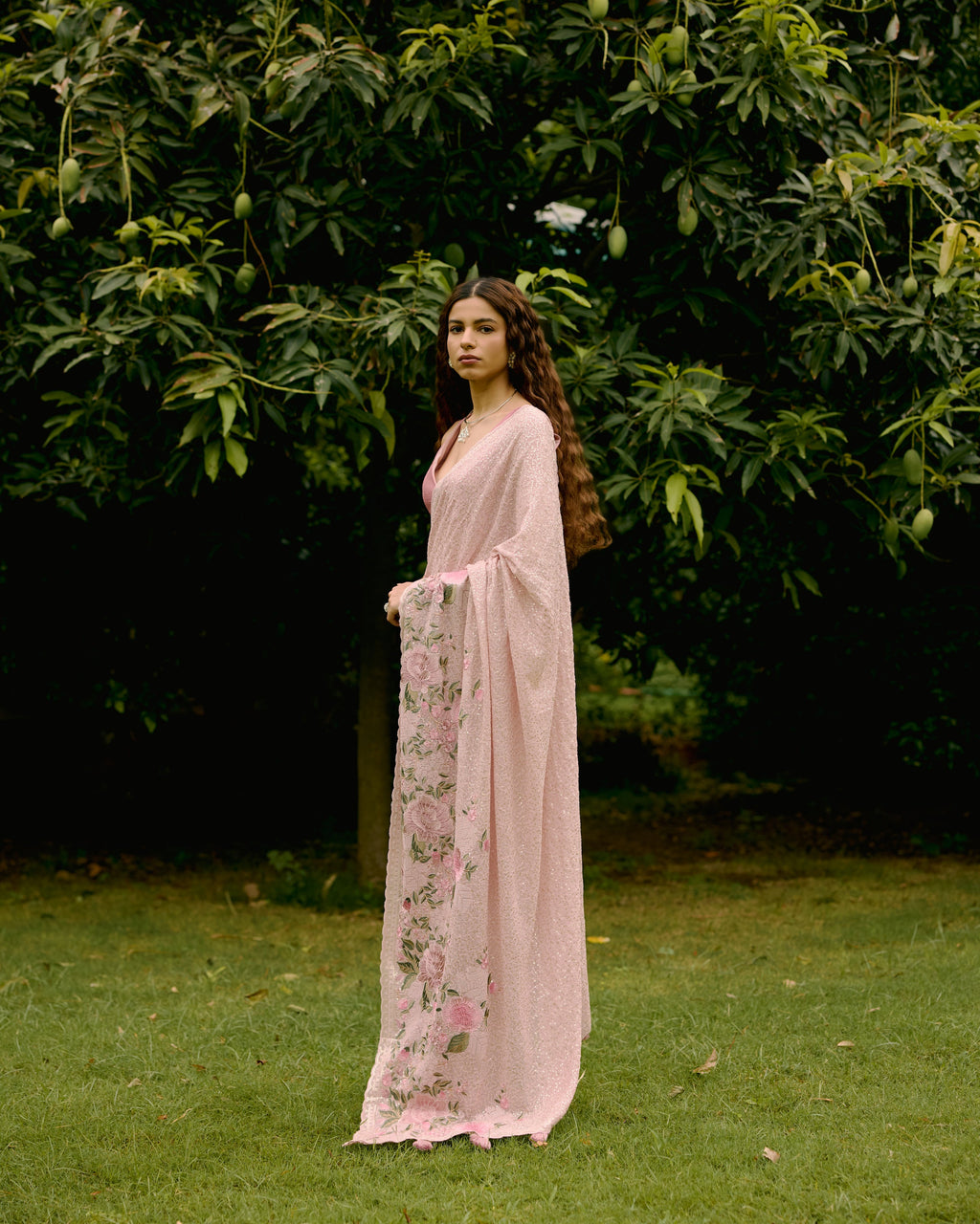 Pink Georgette Sequins and Threadwork Saree