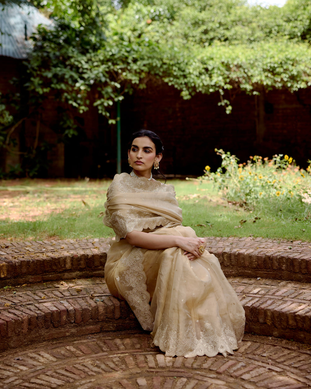 Gold Organza Tissue Saree with Sequin and Zari