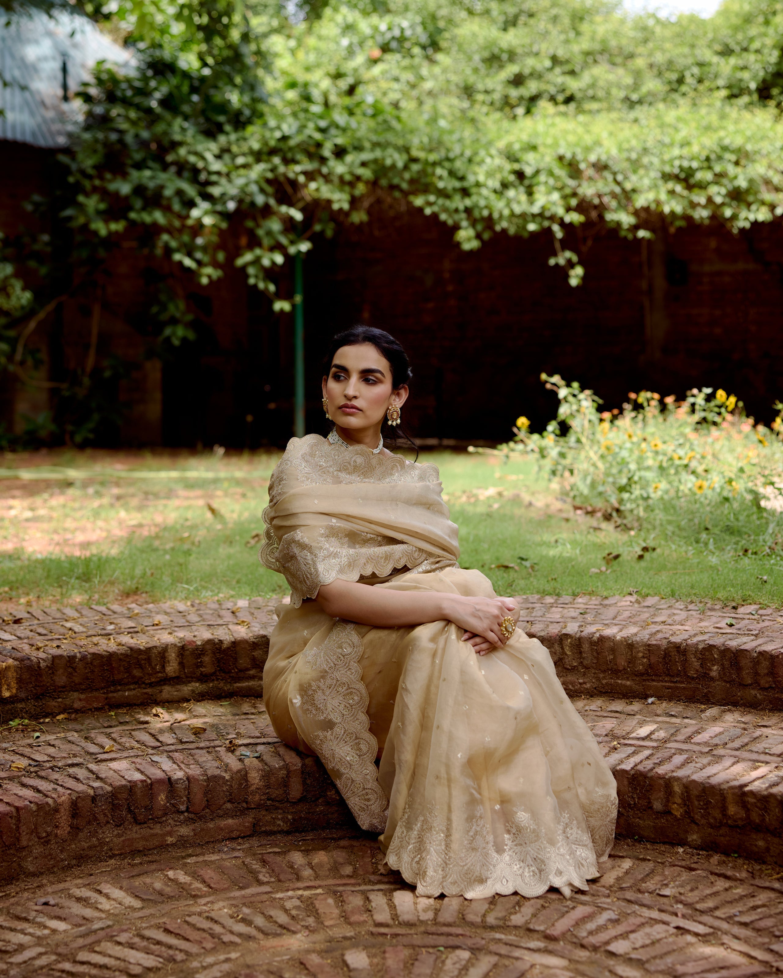 Gold Organza Tissue Saree with Sequin and Zari