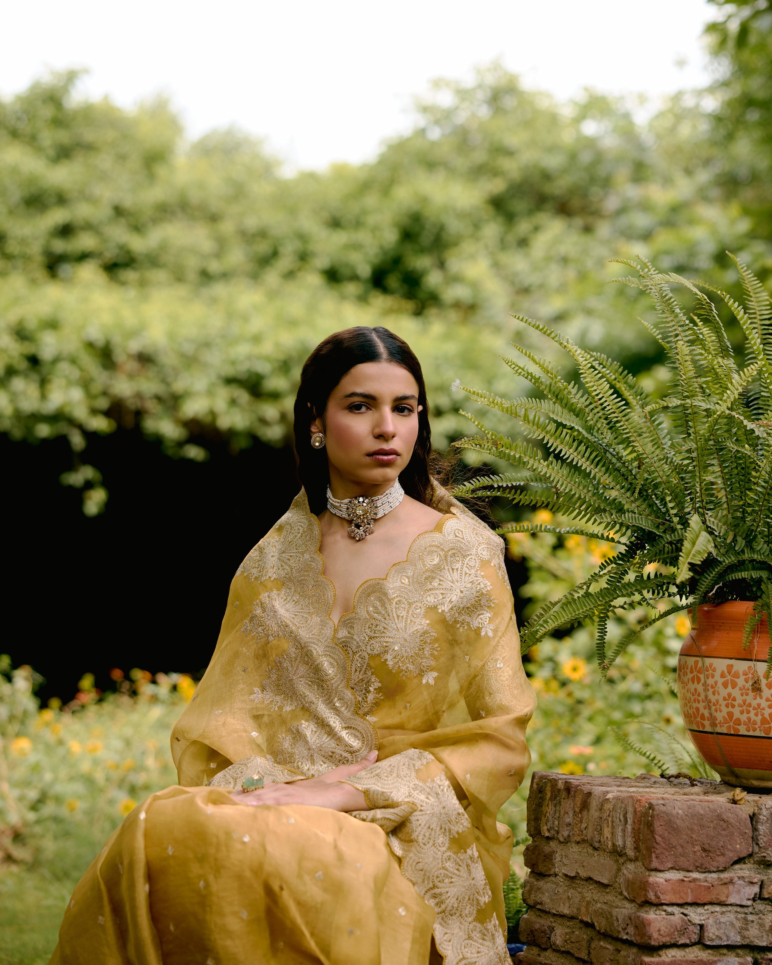 Yellow Gold Organza Tissue Saree with Sequin and Zari