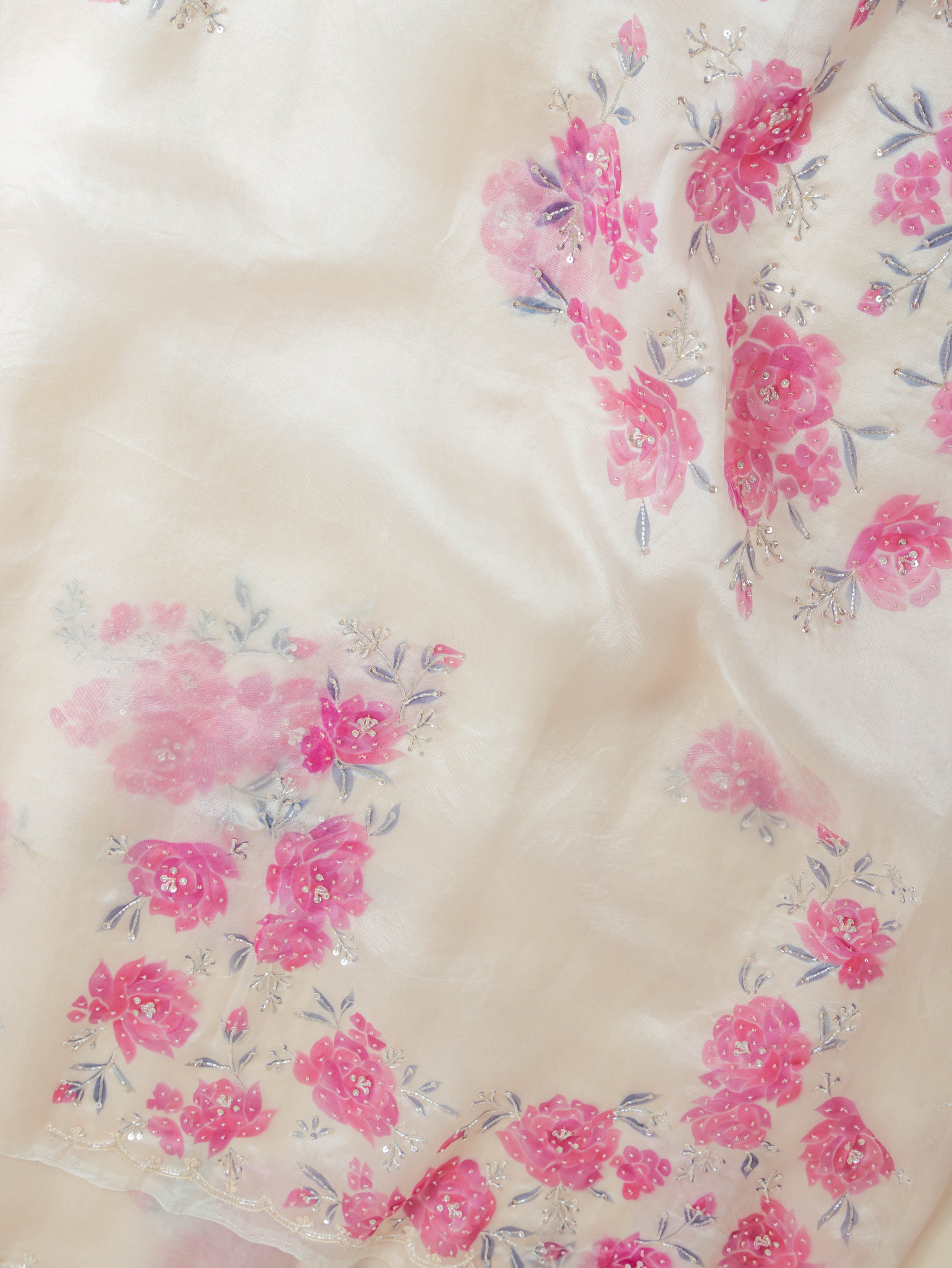Ivory Organza Hand Painted Saree