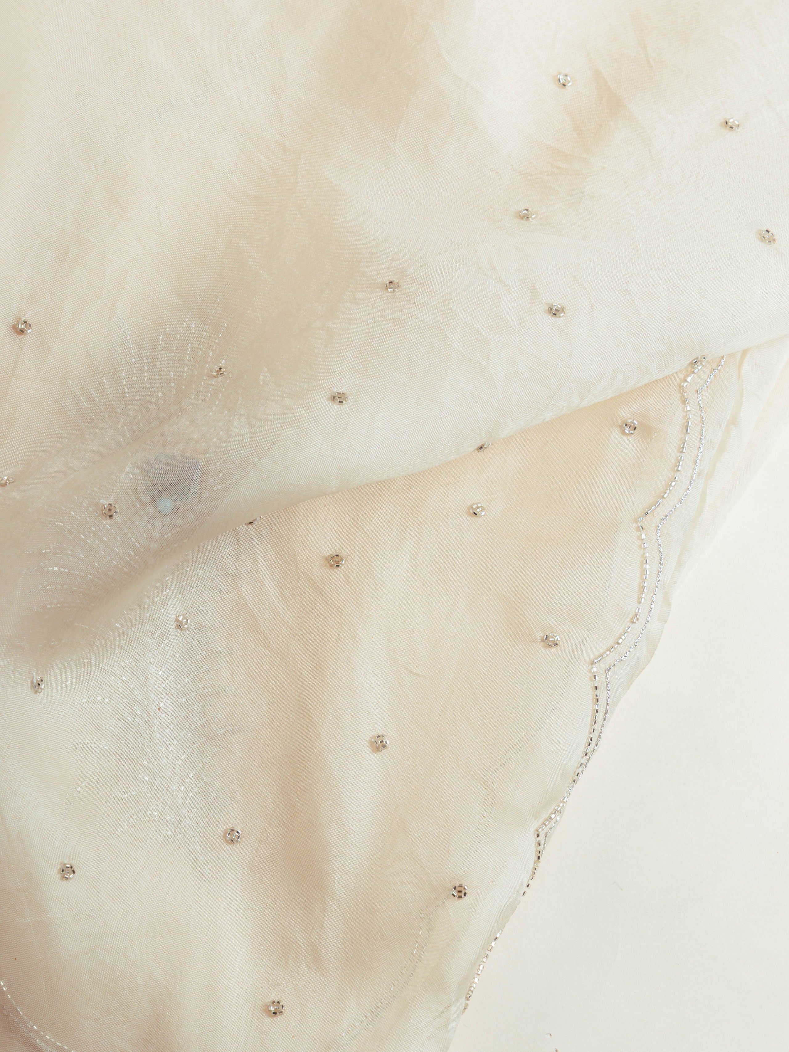 Ivory Organza Cutdana Saree