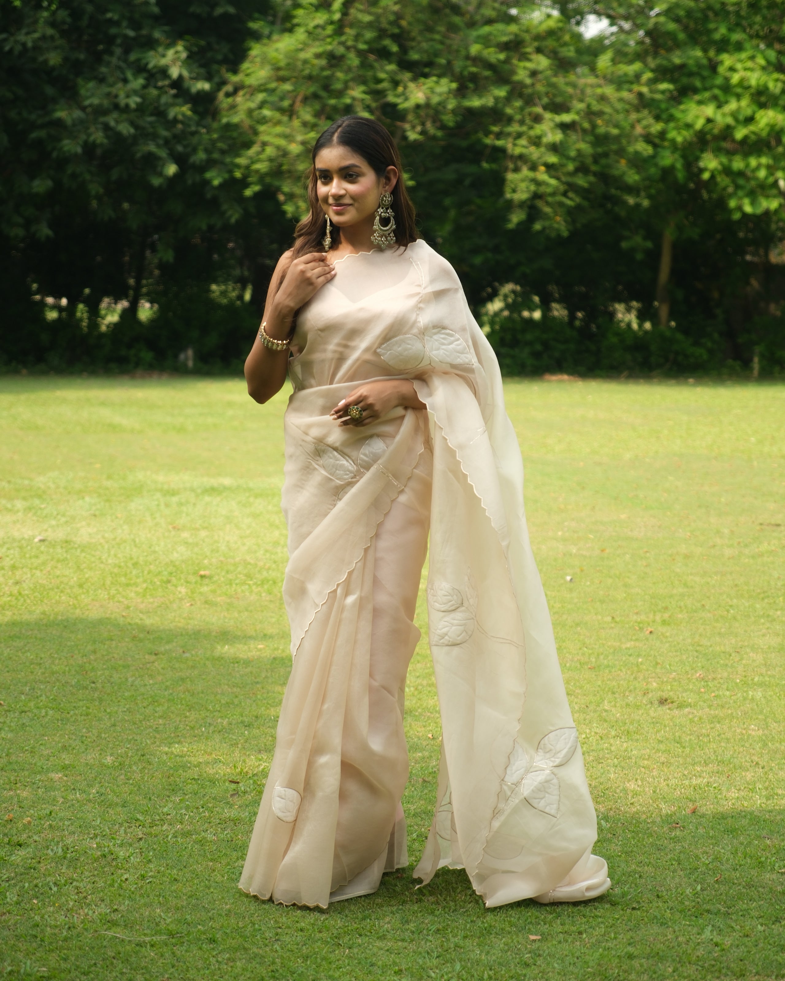Nude Organza Tissue Applique Saree