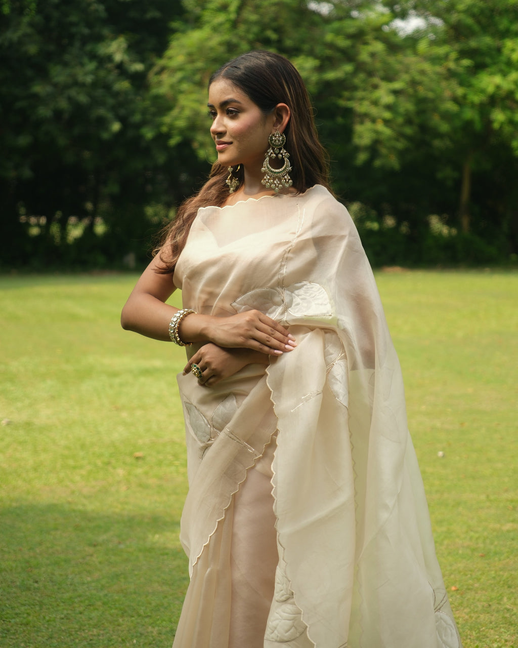 Nude Organza Tissue Applique Saree
