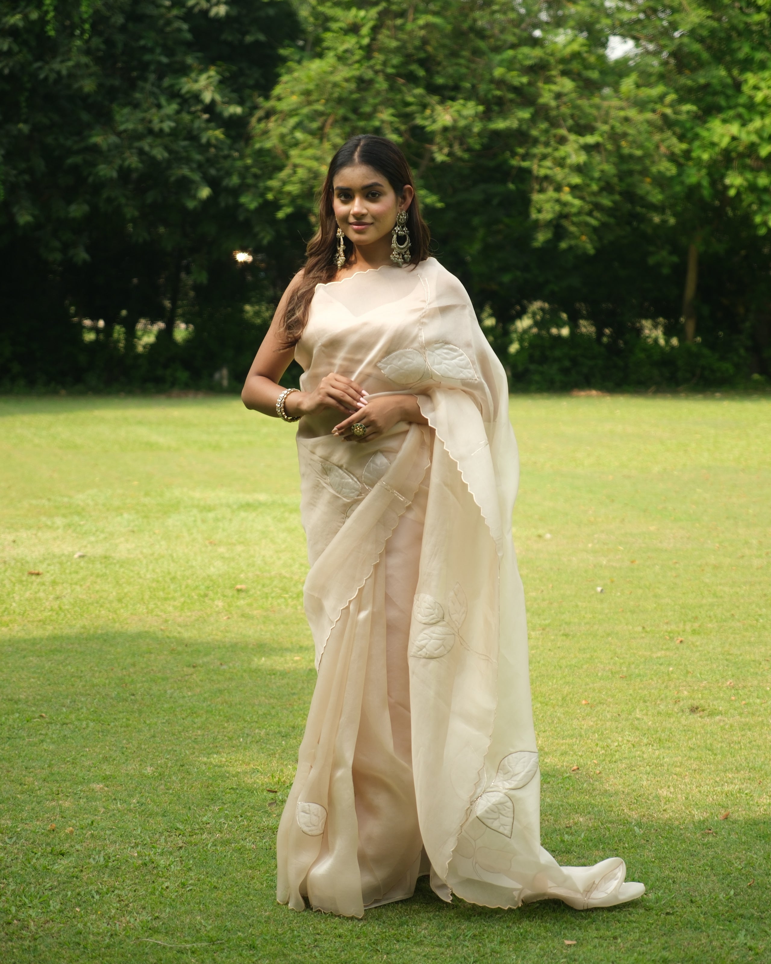 Nude Organza Tissue Applique Saree