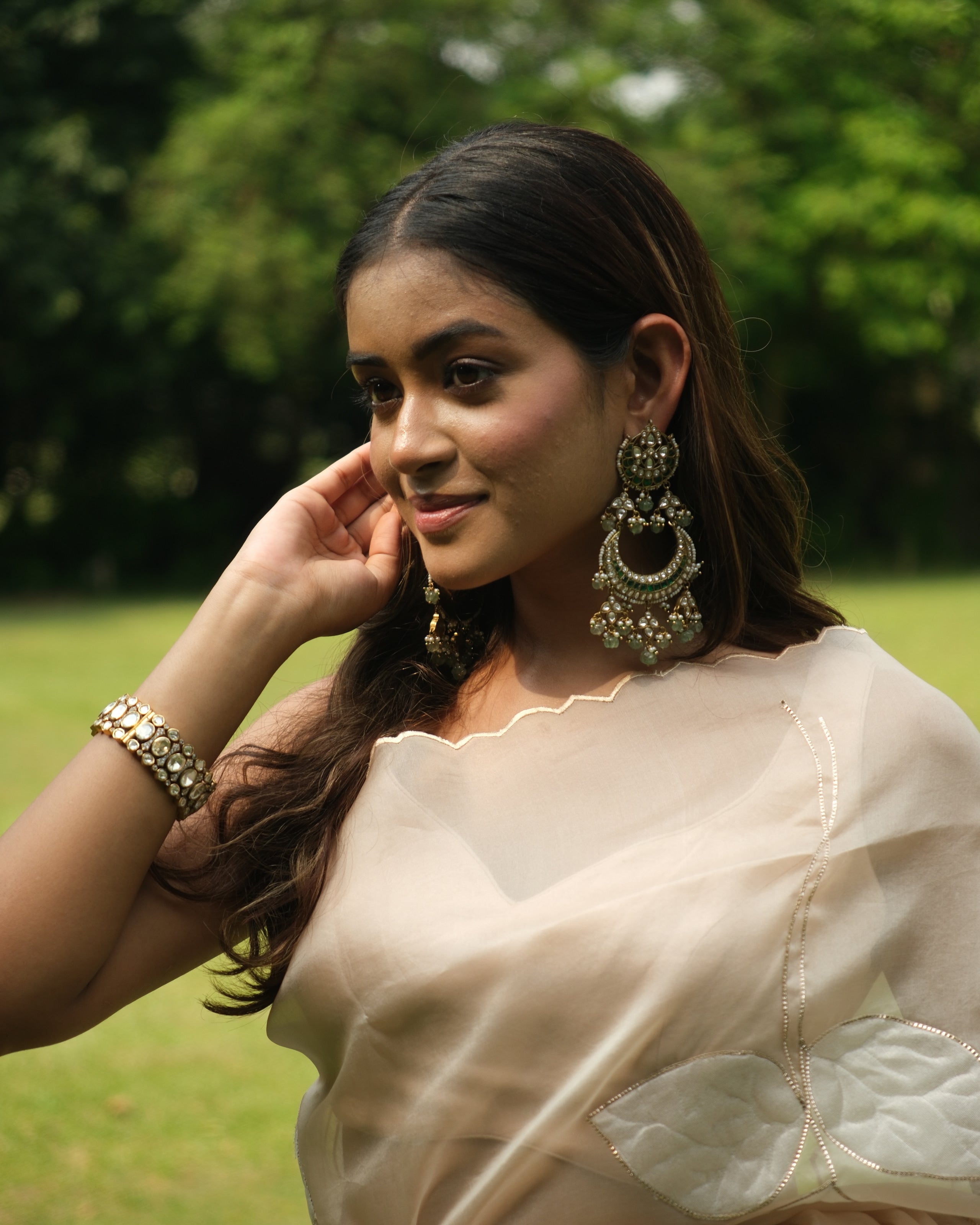 Nude Organza Tissue Applique Saree