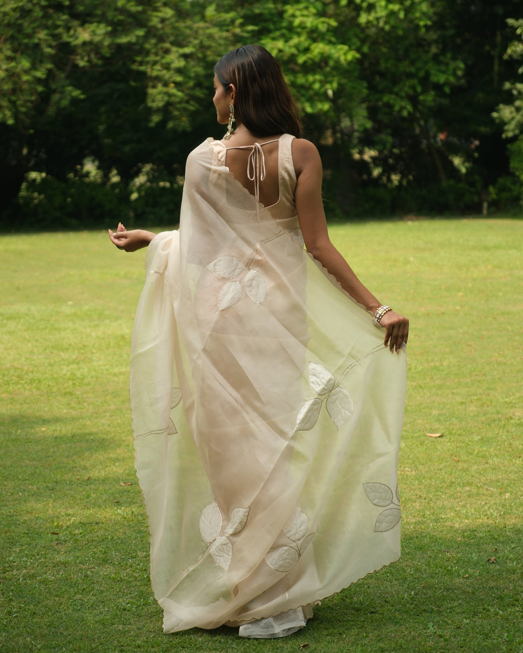 Nude Organza Tissue Applique Saree