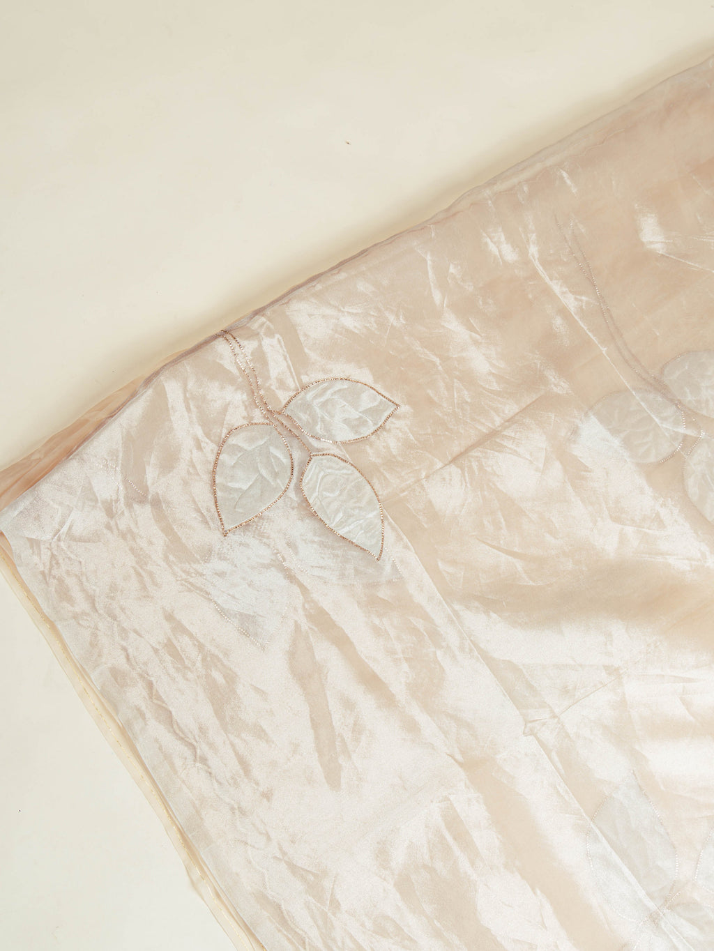 Nude Organza Tissue Applique Saree
