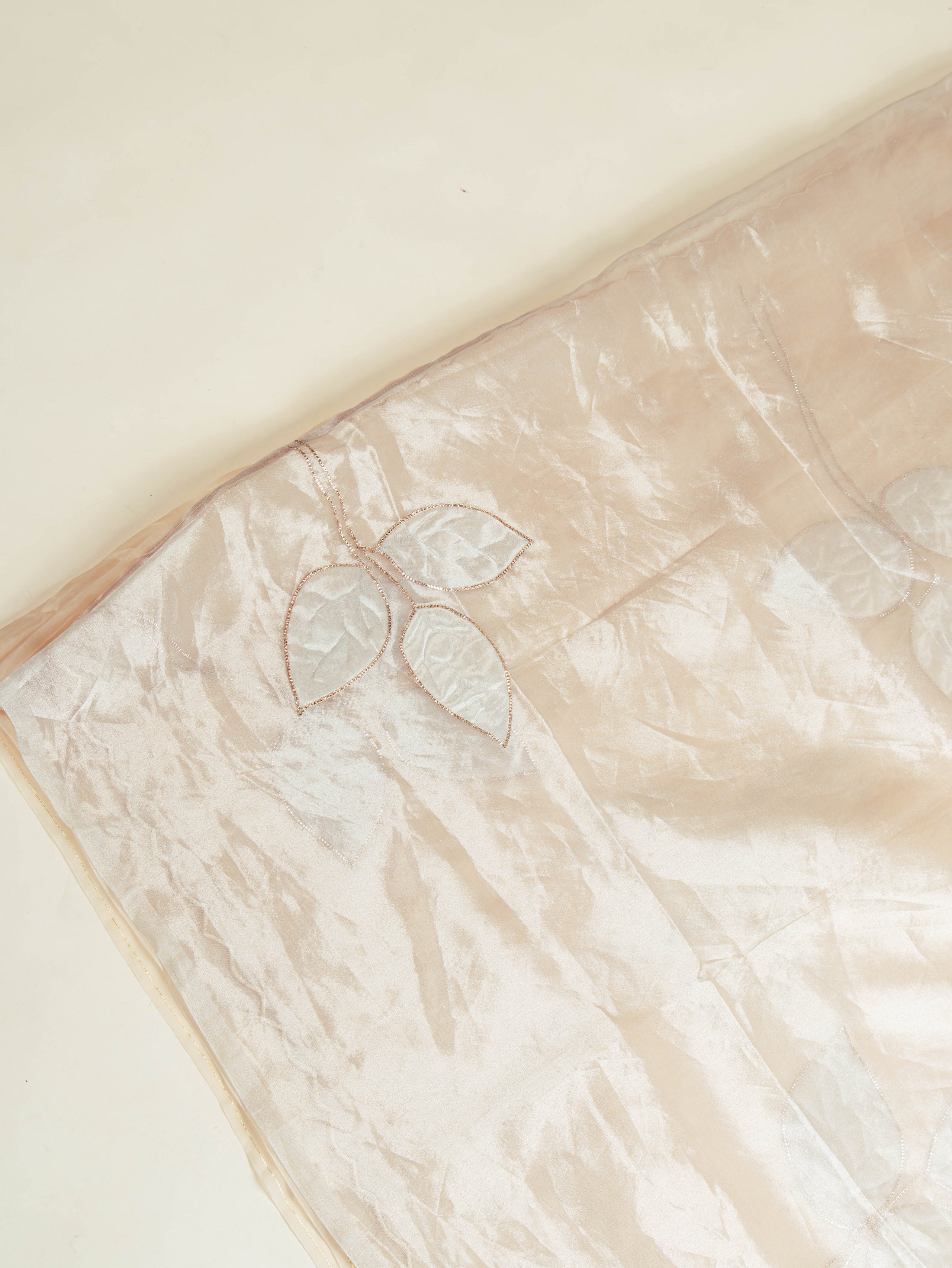 Nude Organza Tissue Applique Saree